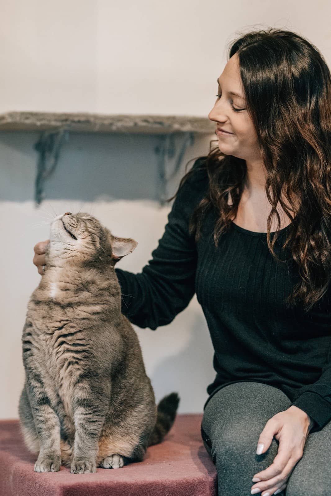 Patricia Metzer streichelt eine getigerte Katze auf einer Wandablage