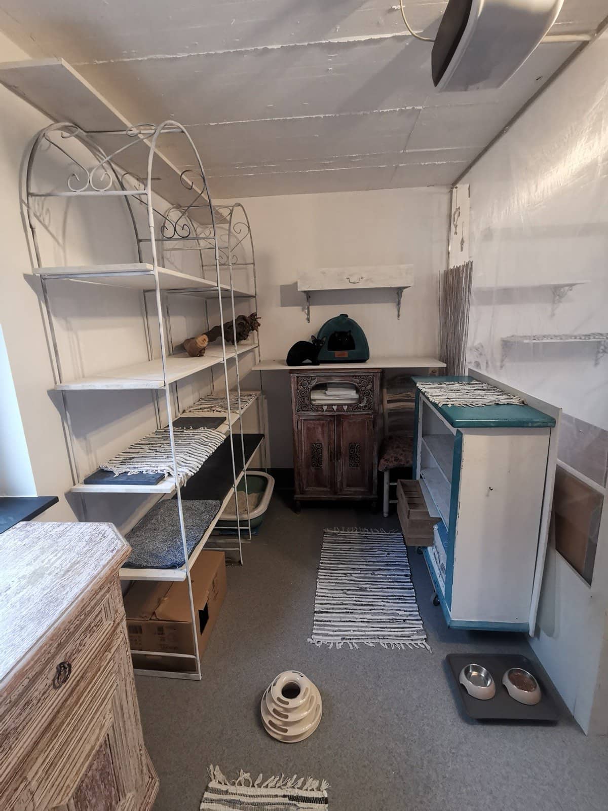 Schmaler Raum mit weißem Metallregal, Liegeflächen, Katzentoilette und Flickenteppichen